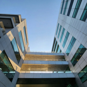 Company Title Property