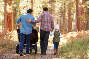 Same Sex Family Law